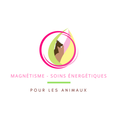 Magnétiseur pour les animaux